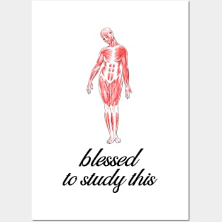 Blessed To Study This Anatomy - Medical Student in Medschool Posters and Art